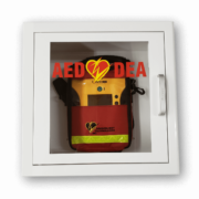 AED Wall Cabinet with Alarm
